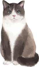 猫ちゃんによる猫ちゃんのための猫ちゃん空間